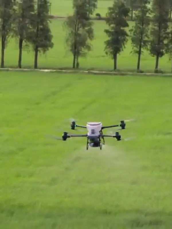 Drone sobre um campo aberto